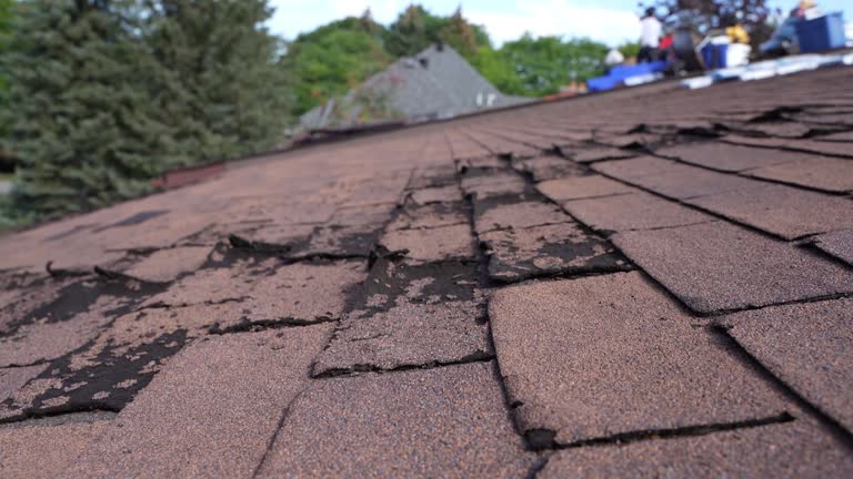  Batesburg Leesville, SC Roofing Pros